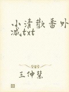 小清欢番外未删减txt