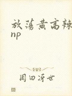 放荡黄高辣h文np