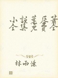 小说叶辰萧初然全集免费全文阅读