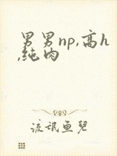 男男np,高h,纯肉