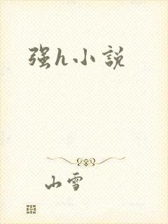 强h小说
