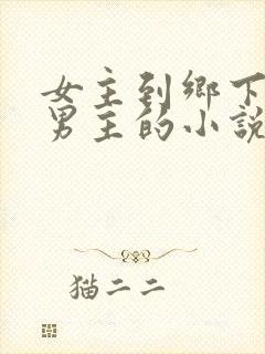 女主到乡下遇到男主的小说