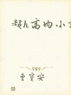 超h高肉小说封面