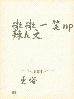 微微一笑np高辣h文