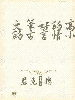 文笔好的高质量的古言情小说推荐