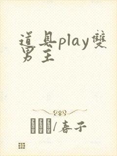 道具play双男主封面