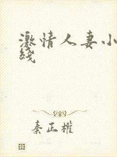 激情人妻小说在线