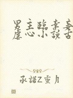 男主临幸妾室的虐心小说古言