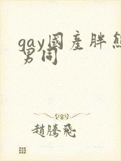 gay国产胖熊男同