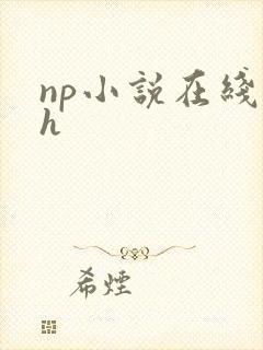 np小说在线高h