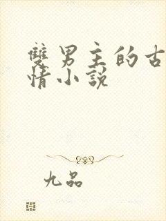 双男主的古代言情小说封面