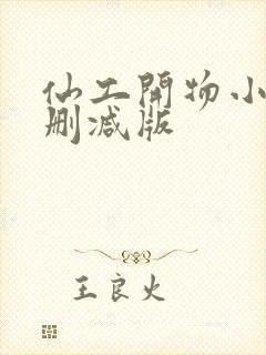 仙工开物小说无删减版