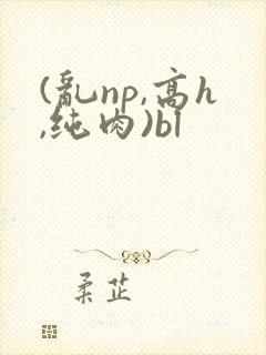 (乱np,高h,纯肉)bl