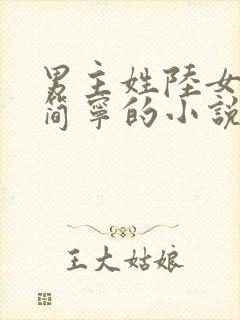 男主姓陆女主叫简宁的小说封面