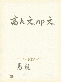 高h文np文