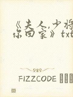 《夫人,少将请你回家》txt