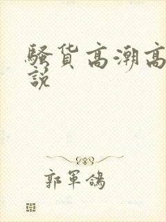 骚货高潮高h小说封面