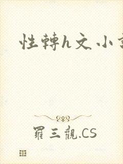 性转h文小说封面