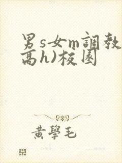 男s女m调教(高h)校园