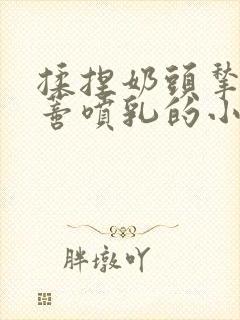 揉捏奶头揪扯阴蒂喷乳的小说