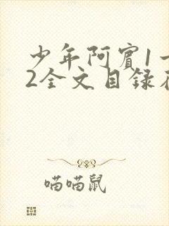 少年阿宾1一72全文目录在线封面