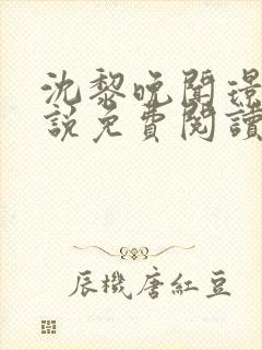 沈黎晚闻璟川小说免费阅读最新章节