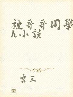 被哥哥同学…高h小说