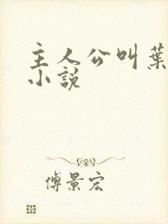 主人公叫叶凡的小说