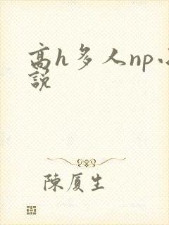 高h多人np小说