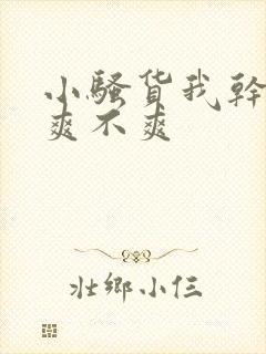 小骚货我干的你爽不爽封面