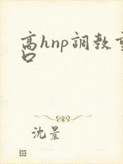 高hnp调教重口