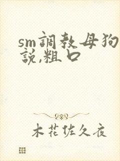 sm调教母狗小说,粗口