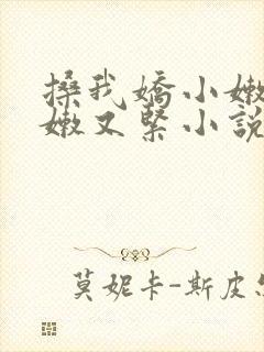 搡我娇小嫩苞又嫩又紧小说封面