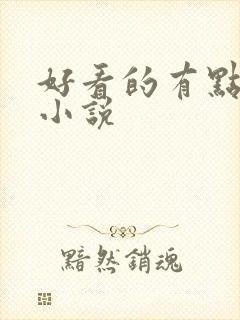 好看的有点h的小说封面