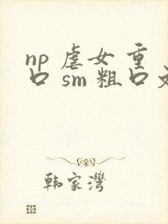 np 虐女 重口 sm 粗口文