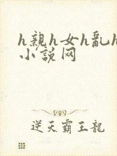 h亲h女h乱h小说网