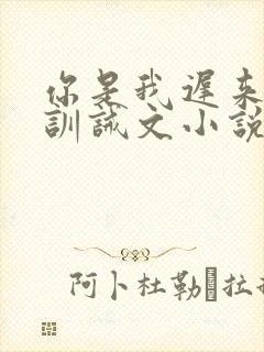 你是我迟来的光训诫文小说在线阅读