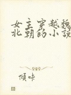 女主穿越魏晋南北朝的小说