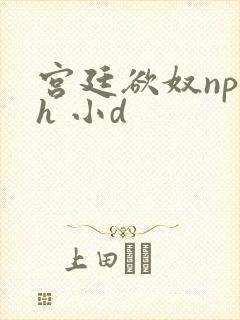 宫廷欲奴np高h 小d