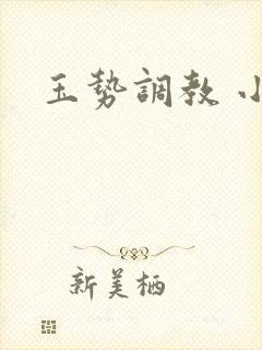 玉势调教 小说封面