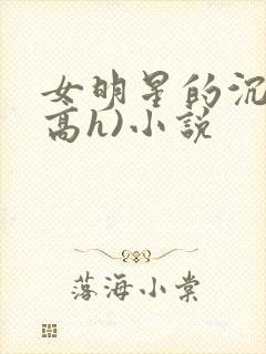 女明星的沉沦(高h)小说封面