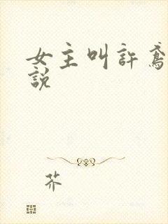 女主叫许鸢的小说