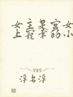 女主是宫女被皇上宠幸的小说