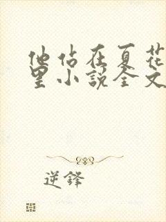 他站在夏花绚烂里小说全文免费阅读