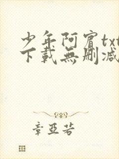 少年阿宾txt下载无删减封面
