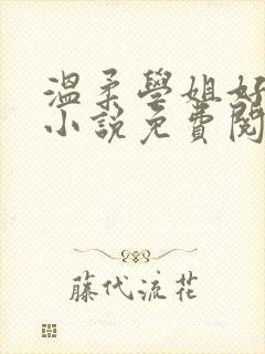 温柔学姐好迷人小说免费阅读全文