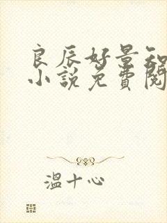 良辰好景知几何小说免费阅读全部章节