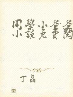 同学小爸爸李凯小说免费阅读全文