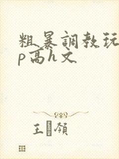 粗暴调教玩弄np高h文封面