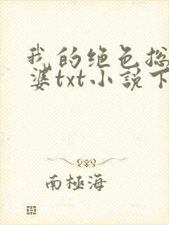 我的绝色总裁老婆txt小说下载封面